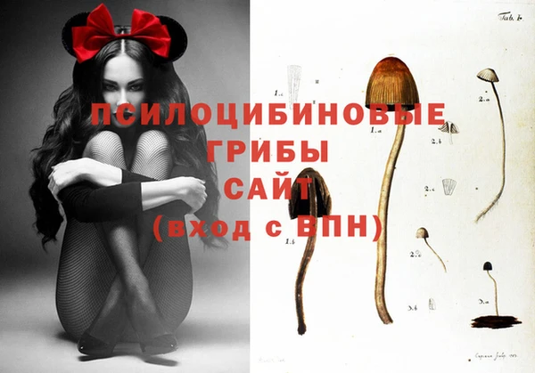 альфа пвп Волосово