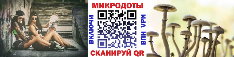 Галлюциногенные грибы Magic Shrooms  продажа наркотиков  Пятигорск 
